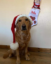 Load image into Gallery viewer, Pet Stockings