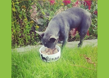 Load image into Gallery viewer, Personalised Pet Bowls