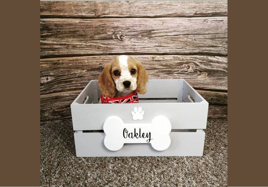 Dog Toy Box